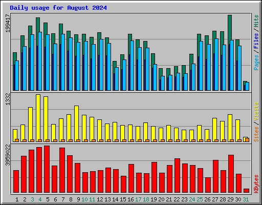 Daily usage for August 2024