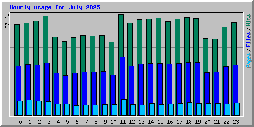 Hourly usage for July 2025