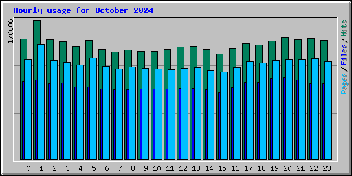 Hourly usage for October 2024